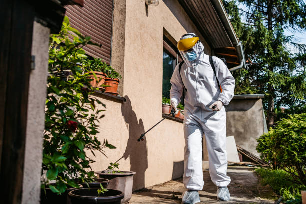 Best Mosquito Control Services  in Carbon Hill, AL