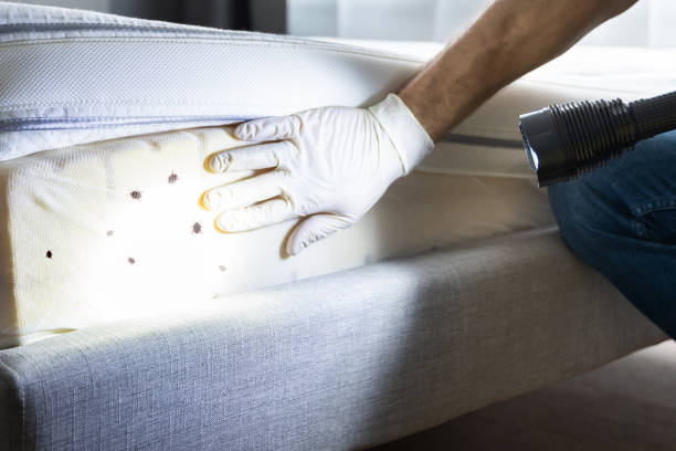 Best Pest Control Near Me  in Carbon Hill, AL